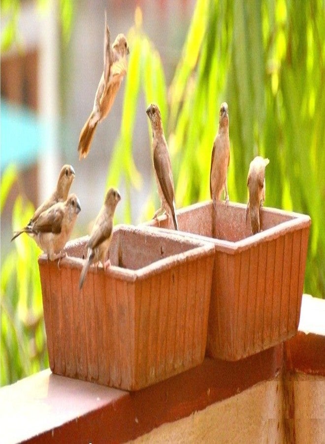 Shriyam Craft Earthen Pot Terracotta Bird Bath, Earth Brown (9X9-Inch) - Image 5